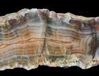 Polished Pilbara Agate Slab - Australia #65682-1
